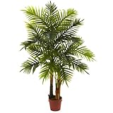 ほぼ自然5424リアルタッチAreca ARC Palm Tree、4-feet、グリーン