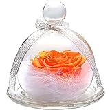 TEATSIGHT プリザーブドフラワー フラワーアレンジ ラッピング済み バラ スワロフスキー 羽根 (オレンジ)