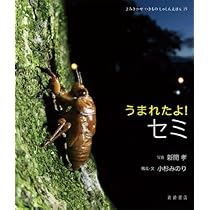 うまれたよ! シリーズ写真絵本セット5冊 うまれたよ! シリーズ写真絵本セット5冊 - メルカリ