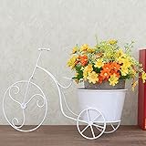 Plant shelf アイロンフラワーラック、リビングルームフラワーポットラックバルコニー盆栽フレームプラントディスプレイスタンド Flower racks ( 色 : B )