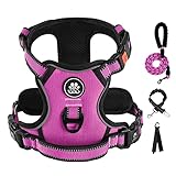IVY&LANE 引っ張り防止犬用ハーネス 大型犬用 犬用ベストハーネス リーシュ付き 安全ベルトと収納ストラップ 完全に調節可能なハーネス、360°反射ストリップ、ソフトハンドル(フューシャピンク、XL)