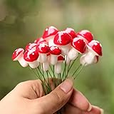 10 パック ミニ赤い キノコ用ミニチュア植物ポット妖精の装飾ガーデン自然クラフト #69170