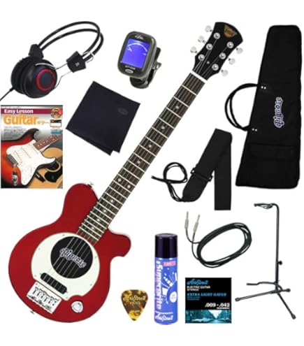 Amazon | PIGNOSE アンプ内蔵エレキギター 美しいフレイムメイプル