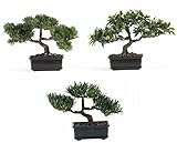 Nearly Natural 4121 Bonsai Decorative Silk Plant Collection, Plastic, 12-Inch, Green [並行輸入品]