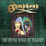 Divine Wings of Tragedy [12 inch Analog]