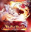 Bullet Rush[東方Project]