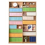 JKプラン 1cmピッチ 本棚 幅120 超薄型で文庫本が大量に収納できる 文庫本ラック 奥行 上部 12cm 下部 24cm ナチュラル TSFRM0010LB