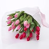 西脇農園 チューリップ 花束「厳選20本（品種おまかせ赤・ピンク系）」 ミックス系 日比谷花壇