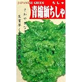 レタス 種 【 青ちりめんちしゃ 】 種子 小袋（約2ml）