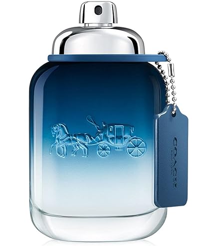 Amazon | バルマン エクスタティック EDT SP 40ml | バルマン