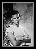 8 x 10のすべての木製額入りフォトBrando、Marlon A Streetcar Named Desire The Man