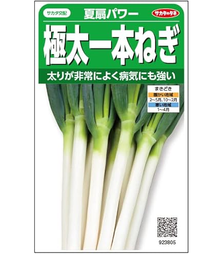Amazon | サカタのタネ 実咲野菜3803 ネギ おてがる一本ねぎ 夏扇4号