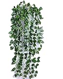 【SCGEHA】フェイクグリーン インテリア イミテーション 人工 観葉植物 壁掛け 緑 癒し ３種類 （Ａタイプ／１本）