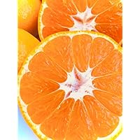 愛媛みかん 10kg 西宇和産 訳あり ご家庭用 サイズ混合