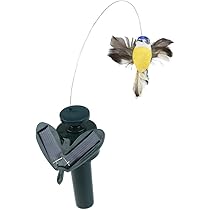 空をイメージする鳥 壮観！ 英上空を鳥の群れが形を変えながら飛ぶ_新華網日本語