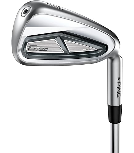 Amazon.co.jp: ピン（PING） i230 アイアン (4I ロフト22.5度) N.S.PRO