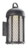 Troy Lighting Signal Hill 17.5"H 1-Light Outdoor Wall Light - Aged Silver Finish with Clear Frosted 