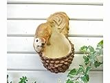 野川農園木登りリス(バードフィダーB)