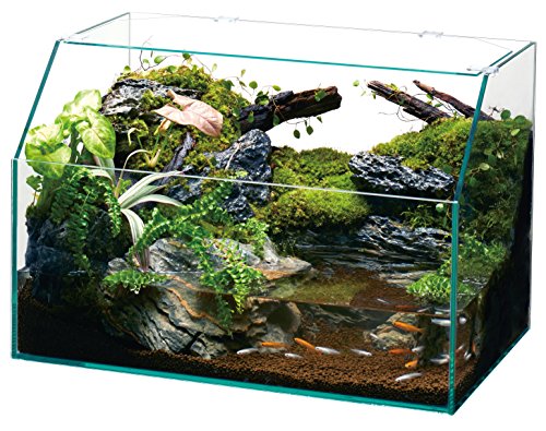 はじめてのアクアテラリウム水槽【その2：お金（総額約5万円）編