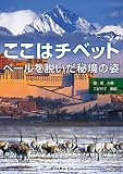 ここはチベット: ベールを脱いだ秘境の姿