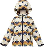 (ザ ノースフェイス)THE NORTH FACE ベビー ノベルティーコンパクトジャケット【npb71614】80cm トライバルプリント