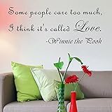 Pop Decors Some people care too much-Winnie The Pooh Wall Stickers [並行輸入品]