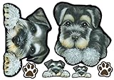 犬ステッカー シュナウザー15 シール
