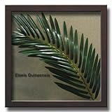 「Elaeis Guineensis」【リーフコレクション】(リーフインテリアフレーム)【人工観葉植物フレーム】[絵画通販]【絵のある暮らし】