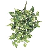 asca 造花 ポトスブッシュ クリームグリーン A-41610-053A