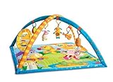 Tiny Love Gymini Animal Concert Activity Gym by Tiny Love [並行輸入品]