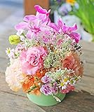 アレンジメントフラワー 生花 ギフト Sサイズ イメージ(MIX) 大臣賞受賞デザイナー おまかせアレンジメント