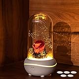 ホワイトデー プレゼントプリザーブドフラワー アロマディフューザ プレゼント Lechin 造花 バラ 枯れない花 生花 ドームアレンジ 母
