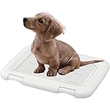 アイリスオーヤマ(IRIS OHYAMA) 犬 トイレ メッシュカバー付 フチもれしにくいトレーニングペットトレー レギュラー 銀イオン配合 抗菌 アイボリー