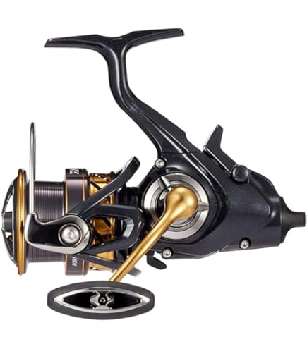 DAIWA 4000-XH Large Spinning Reel, 24-Celtate, SW : Amazon.com.au