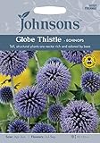 BB 英国ジョンソンシード Bees & Butterflies Echinops ritro = Globe Thistle ビーズ＆バタフライズ・エキノプス・リトロ ＝グローブ・シスル