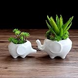 Liebeye 植木鉢 象 陶器 白い 卓上 動物 装飾 多肉植物 フラワーポット 花器 多肉 インテリア 家飾り 飾り物 可愛い おしゃれ 大象