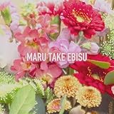 丸竹夷　[通常盤]