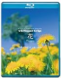 5.1ch SURROUND SOUND virtual trip �� Flowers �l�G�̎R�쑐�ƍ��R�A��