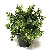 フェイカ　人工観葉植物