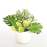 山久 プチグリーンアレンジ「ホップ＆ミニモンステラ」1007-6812 【CT触媒加工】【人工観葉植物】【造花】