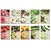ネイチャーリパブリック(NATURE REPUBLIC) リアル ネイチャー マスクシート23ml×10枚セット[並行輸入品]
