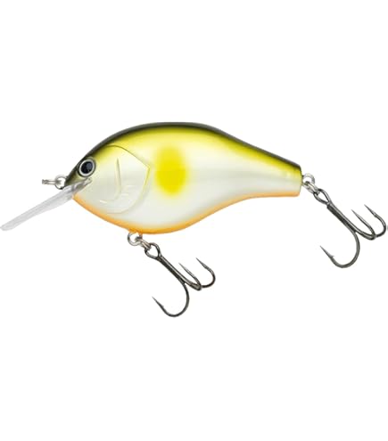 Amazon.co.jp: ノリーズ マルノミフラット60 トラッドパープル