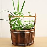 ハーブ苗付木製プランター 2株セット（ティーハーブ、クッキングハーブ）