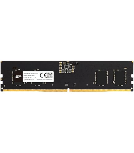 Amazon.co.jp: プリンストン DDR5-5600増設メモリー 8G PD5-5600-8G