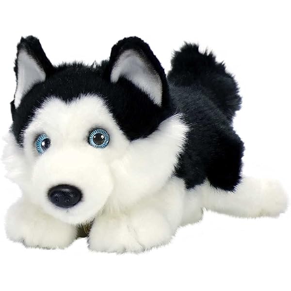 huge husky teddy