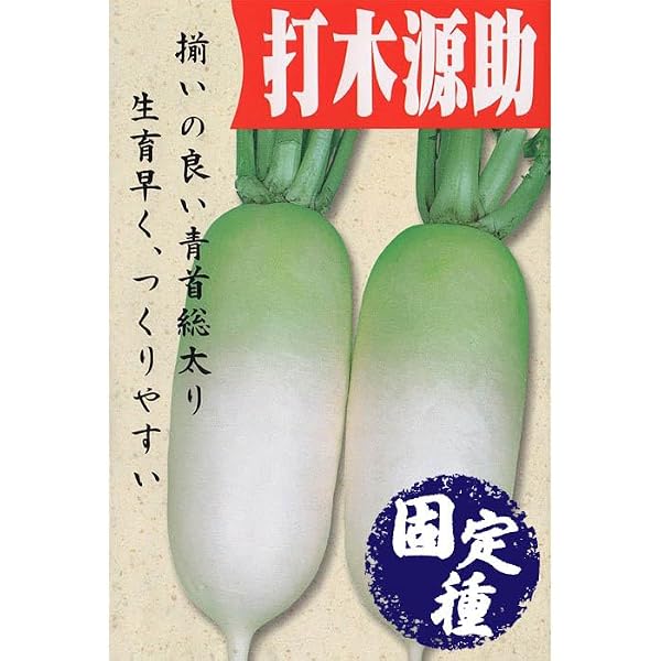 私にもできる! 自然農法入門: 育てて楽しむ家庭菜園コツのコツ | MOA