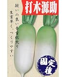 アサヒ農園 打木源助大根（だいこんの種）【固定種】 小袋(10ml)