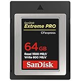 サンディスク SanDisk エクトリーム プロ CFexpress Type B カード 64GB SDCFE-064G-JN4NN