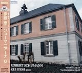 �V���[�}�j�A�[�i6