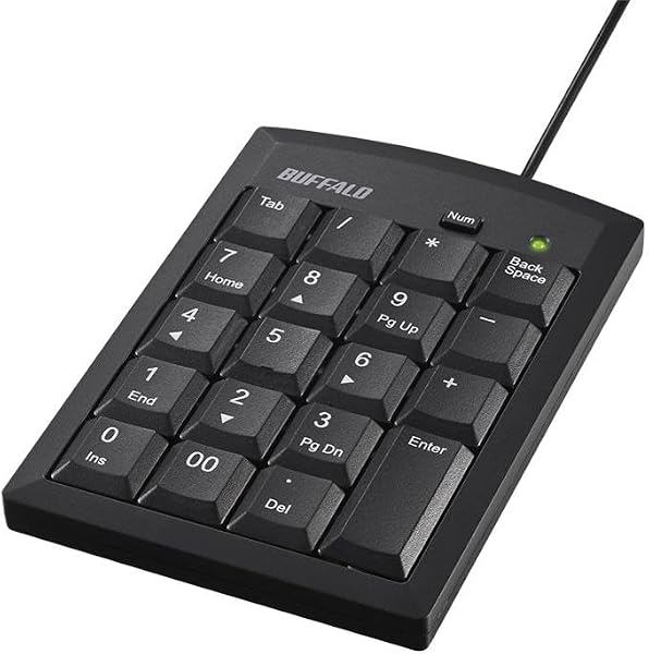 バッファロー テンキー 有線 USB Type-A Tabキー 00キー キーボード 薄型 外付け メンブレン 【 Windows 11 / 10 対応 】 BSTK135BK - 1